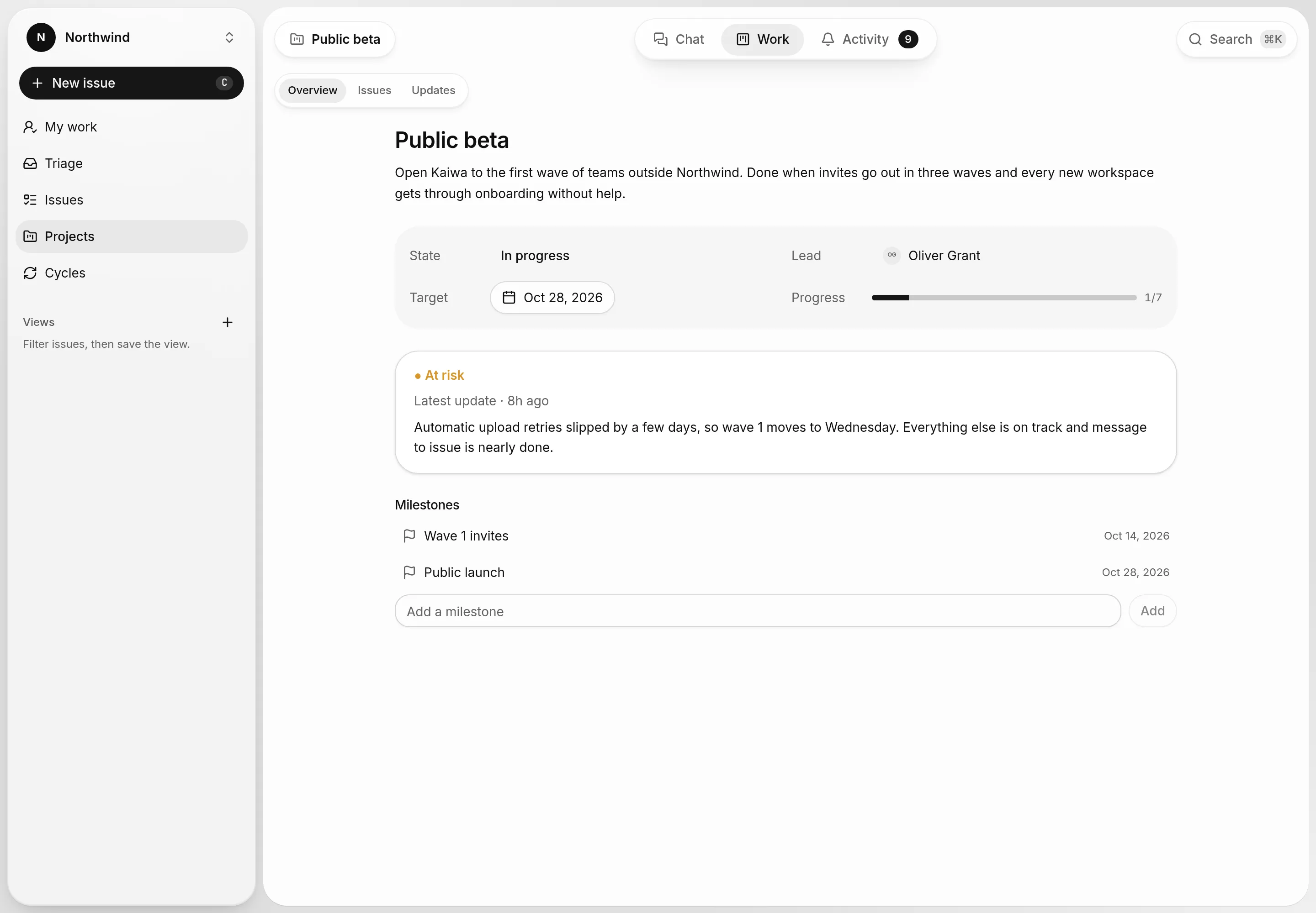 The Public beta project overview with its lead, target date, progress, an at-risk update and milestones.